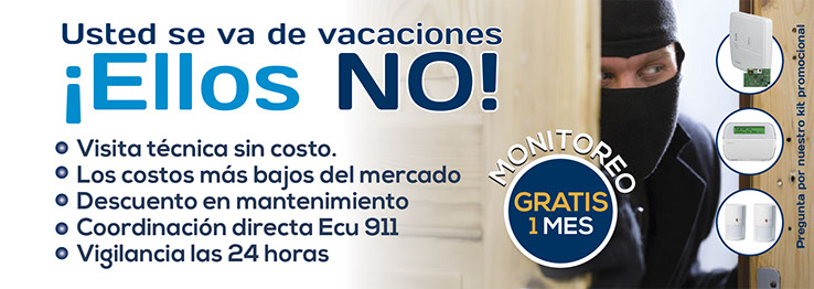 Sistemas de larmas para el hojar, vigilancia las 24 horas